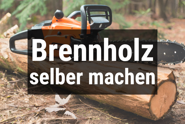 Bild von Brennholz selber machen 🔥 sägen, schneiden/spalten