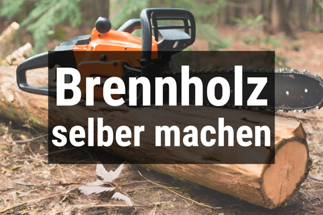 Bild von Brennholz selber machen ☀️ sägen, schneiden/spalte