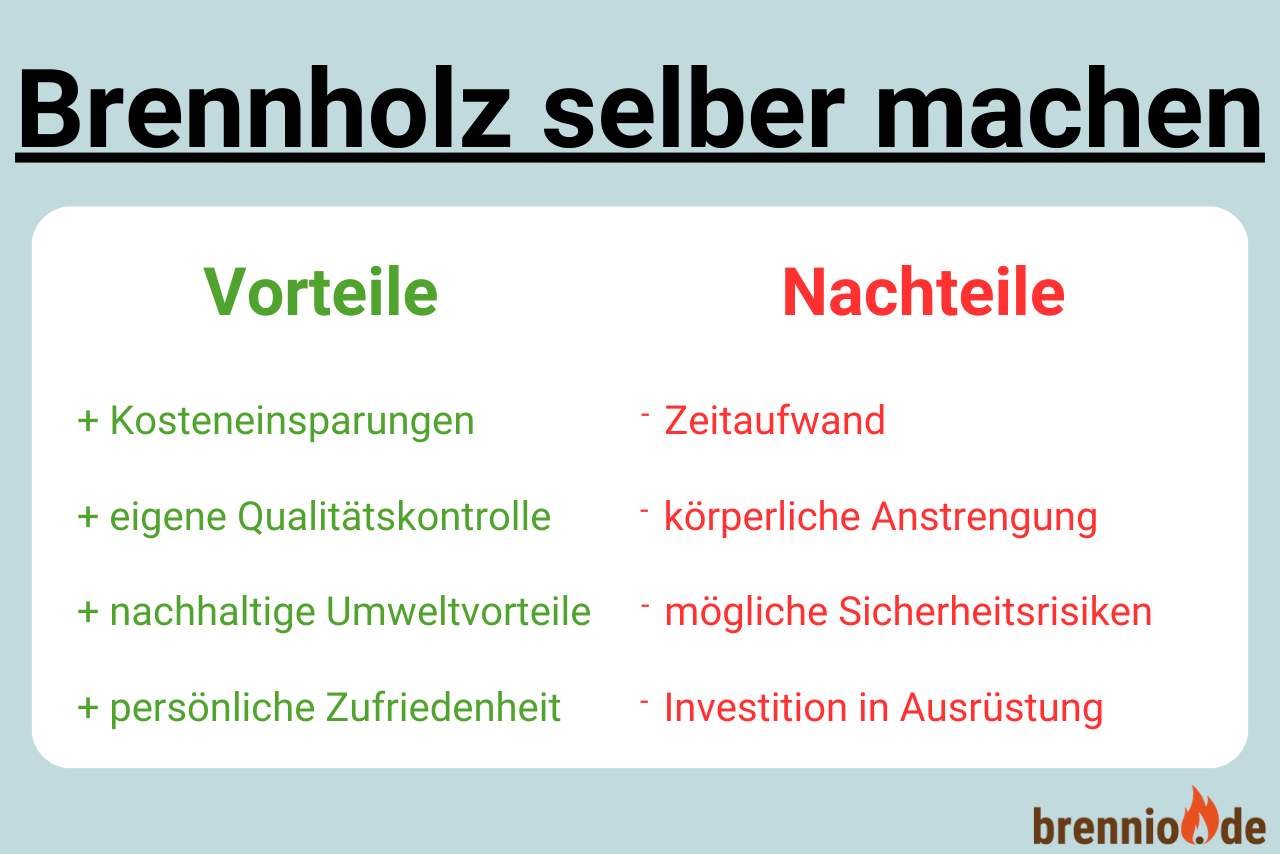 Brennholz selber machen, VorNachteile