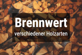 Bild von Brennwert von Brennholz