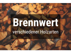 Bild von Brennwert von Brennholz