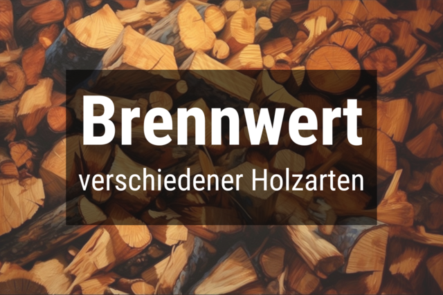 Bild von Brennwert Holz Tabelle (1 Kg & 1 RM) 🔥 Alle Holzso