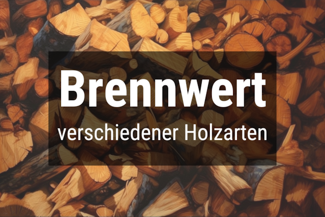 Bild von Brennwert Holz Tabelle (1 Kg & 1 RM) 🔥 Alle Holzso