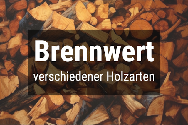 Bild von Brennwert Holz Tabelle (1 Kg & 1 RM) ☀️ Alle Holzs