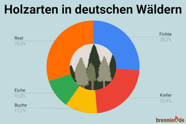 Holzarten Verbreitung