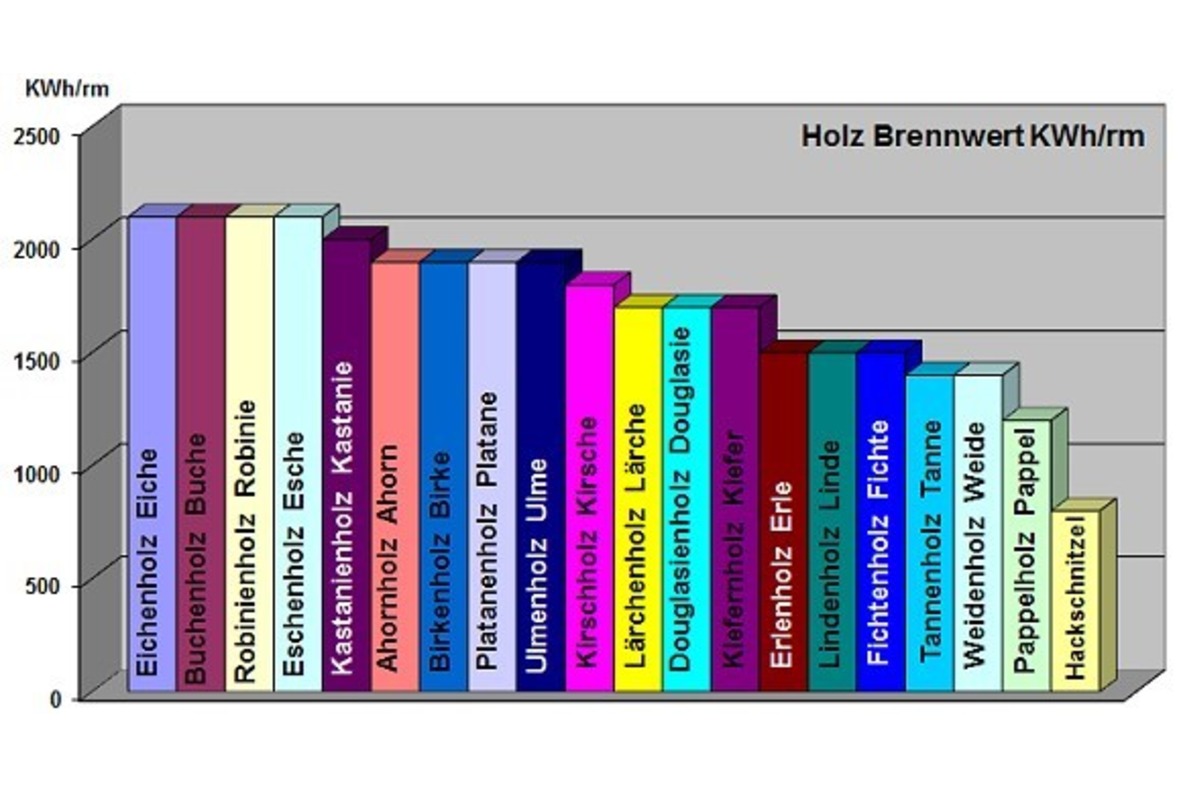 Stammholz