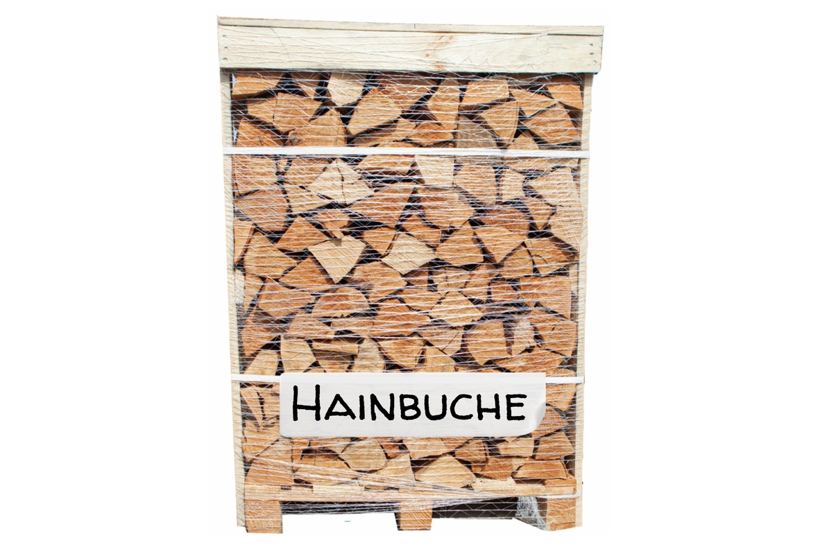 Brennholz Palette
