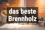 Bild von Welches Holz für den Kamin? 🔥 Bestes Brennholz im 