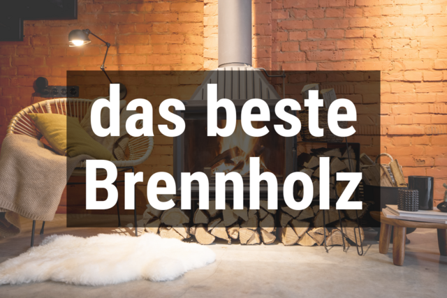 Bild von Welches Holz für den Kamin? 🔥 Bestes Brennholz im 