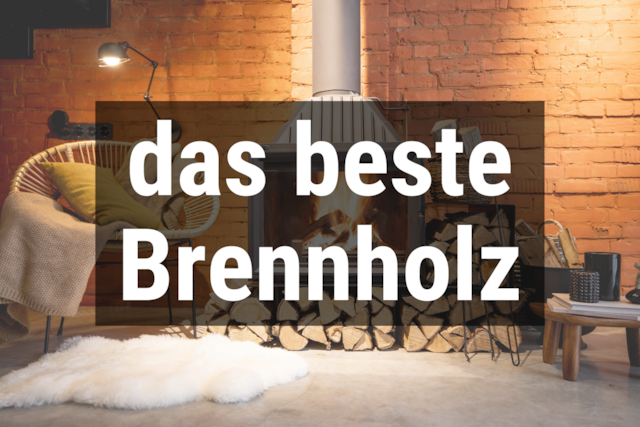 Bild von Welches Holz für den Kamin? 🔥 Bestes Brennholz im 