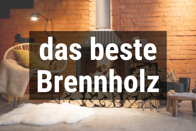 Bild von Welches Holz für den Kamin? ☀️ Bestes Brennholz im